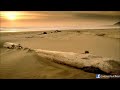 Marta Bergheaua - Scumpa Mea Comoară