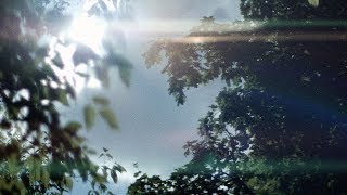Kowa Anamorphic Gh5