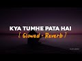 Kya Tumhe Pata Hai | Slowed & Reverb | Udit Narayan | Pujita Musics
