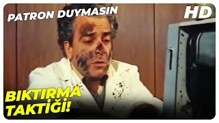 Seni Gidi Namussuz Fare - Patron Duymasın Zeki Alasya Metin Akpınar