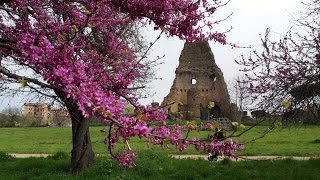 Видео Магазин OBI. Весна в Риме........ от TatiRoma и РИМ онлайн, набережная дельи-Ангвйллара, Рим, Италия