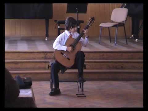 Alecu Ciapi - J. S. Bach - Bourree, Lute Suite BWV 996