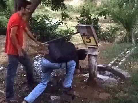 Pani re Pani tera rang kaisa..