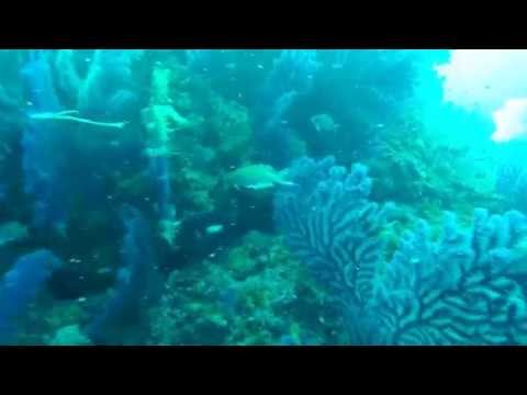 20 giugno 2015 20 giugno 2015