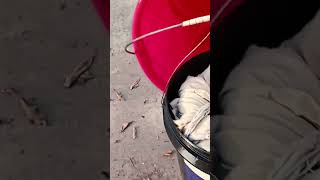Party After Cloth Washing