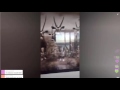 Video Анфиса Чехова в перископе (periscope). Утро в квартире на Манхеттене, вид, картины, муж, завтрак