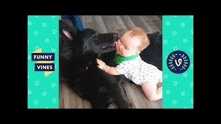 TRY NOT TO LAUGH - Funniest Animals & Cute Pets Compilation | Funny Vines July 2018