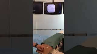 Right ventricular lead implant simulator