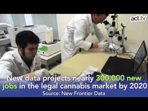 Cannabis