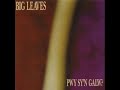 Pwy Sy'n Galw? - Big Leaves