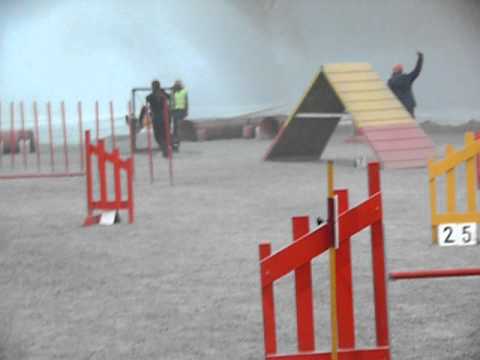 Aija-Ja Video