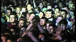 Watch Pulp Party Hard video