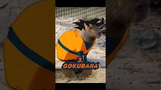 Top 10 Capybara