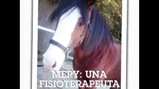 Con Meri en el 2017 (Hipoterapia)