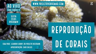 Reprodução de corais in vitro com o Projeto ReefBank - VERDE MAR AO VIVO #18