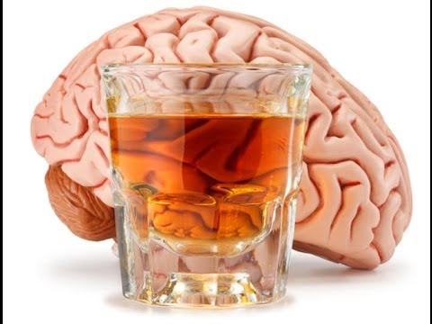 0 - Як алкоголь впливає на головний мозок?