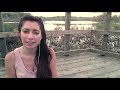 What does the fox say - Ylvis (cover by Jessica Allossery)
