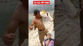Sunkoshi Nadi Ma 30 Kg Ko Machha Chhopnu Vaexa Dajuharu Leh - Amazing Fishing Skill