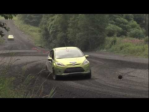 Ford Fiesta Rally Experience Team O'Neil Rally School 