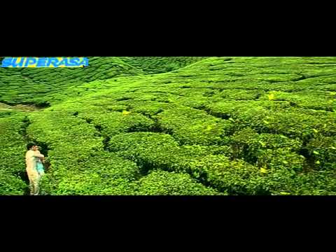 Aisa Deewana Song Dil Maange More BluRay 1080p.