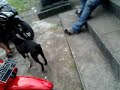 Bokep Abg images Bokep Abg