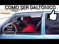 COMO SER DALTÔNICO SOUTH AMERICA MEMES (SAM)