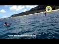 OC-2 Paddling with Buddy and Koko at the 2013 Da Hui Race