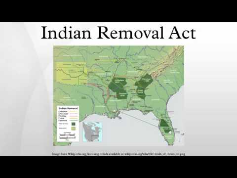 the removal of all indian people to the west of the mississippi river The indian removal act and the trail of tears: cause, effect and justification any native americans in the east to territory that was west of the mississippi river approximately 15,000 cherokee people to their new home in indian territory. the removal of all indian people to the west of the mississippi river The indian removal act and the trail of tears: cause, effect and justification any native americans in the east to territory that was west of the mississippi river approximately 15,000 cherokee people to their new home in indian territory.