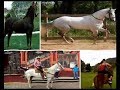 Acatlán Veracruz Acatlán Veracruz