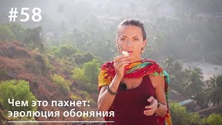 Чем Это Пахнет: Эволюция Обоняния // Вкуз #58