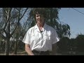 Tri-Tronics Hold Command for Bird Dogs Part 1 of 6