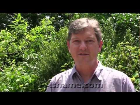 Bheki Cele Biography