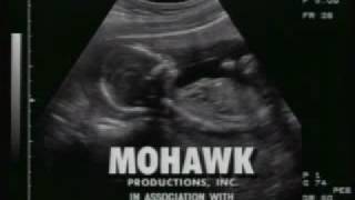 Mohawk Productions