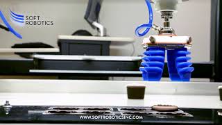 Soft Robotics Automation: Pick and Place, Packaging Applications