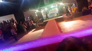 Festival Do Pequi De Pequizeiro Tocantins