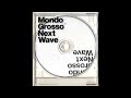 Mondo Gross - Graceful Ways (Feat. Anis of Monoral)