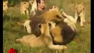 Kevin Richardson - Lion Man