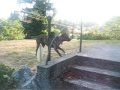 Cujo and Krystian II