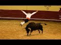 Men jumping over a charging bull - Recortadores