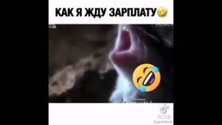 Как Я Жду Зарплату 🤣