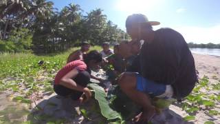 Navacopah goes boodlefight