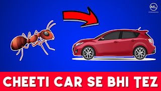 चींटी दौड़े कार से तेज़ | Ant Runs Faster Than Car | Random Facts #01 | Mysterious Logs