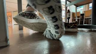 Public Mall Shoeplay With Leopard Lilly Pulitzer Sneakers
