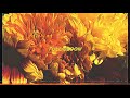 Alpines Full Bloom (Official Audio) Alpines Full Bloom (Official Audio)