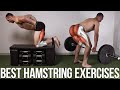 The BEST Hamstring Exercises For Strength & Size - Science of Training