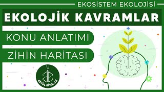 Ekolojik Kavramlar Konu Anlatımı 10. Sınıf Biyoloji Tyt Biyoloji