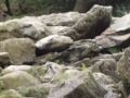 Powerscourt Waterfall