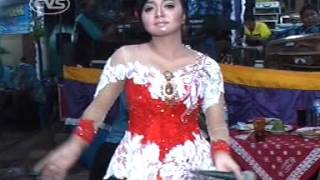 Suket Teki :: Areva Musik Horee...