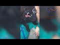 Your DAILY DOSE OF LAUGHTER - Super FUNNY ANIMAL compilation