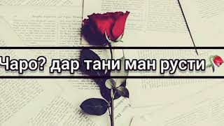 Сузи🥀🌹Сухан♾